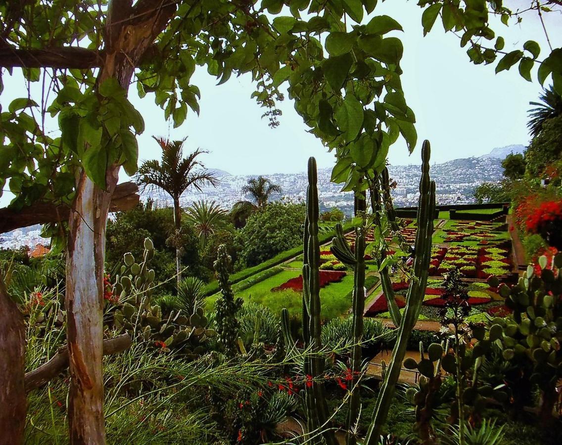 Apartment - The Historical Center Of Funchal In Alojamento Local Exterior photo