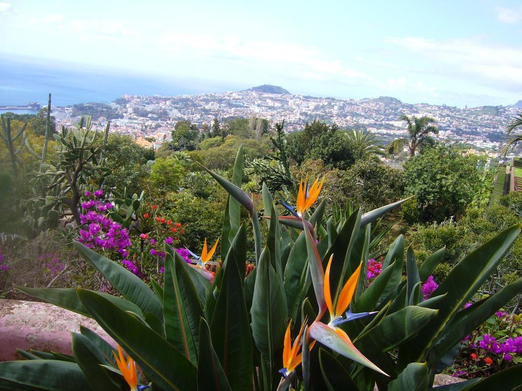 Apartment - The Historical Center Of Funchal In Alojamento Local Exterior photo