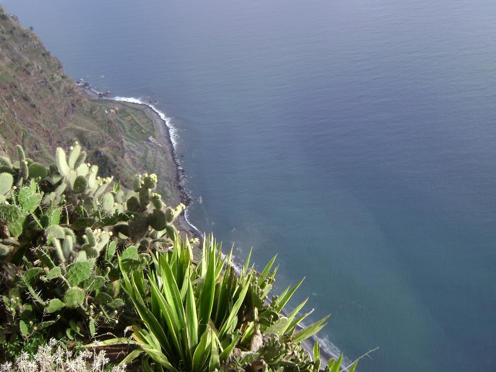 Apartment - The Historical Center Of Funchal In Alojamento Local Exterior photo